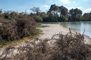 20220416 lac bleu leognan (5).